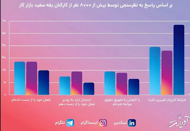 فیلترینگ چطور به بیکاری دامن زد؟